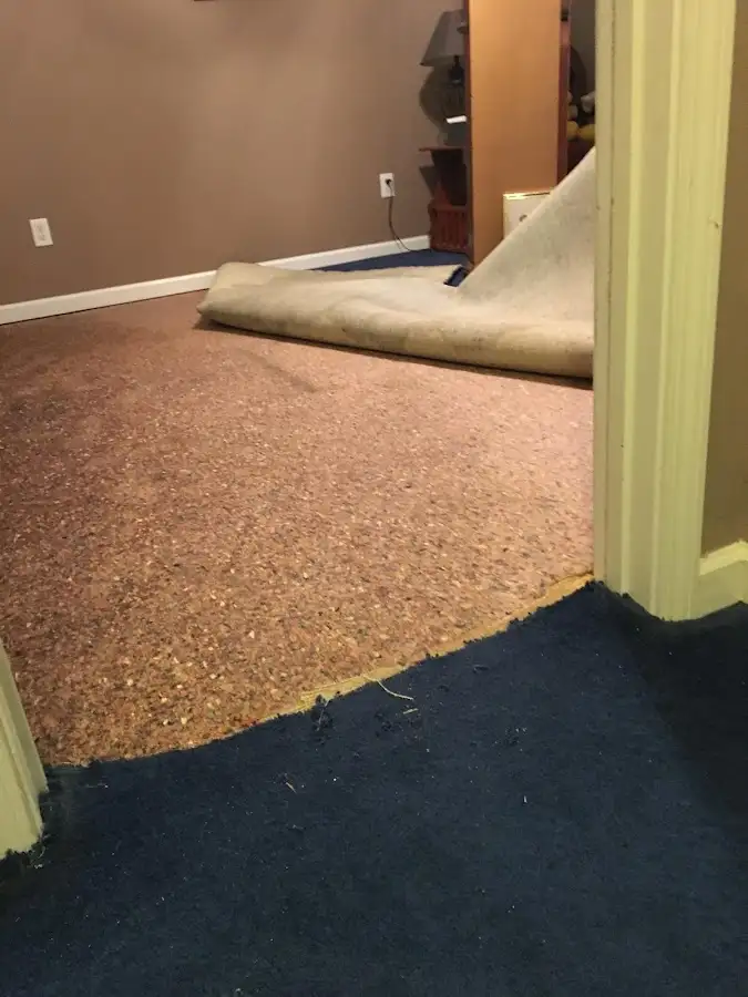 Carpet pad removal revealing water damage during Drying & Dehumidification in Richmond West