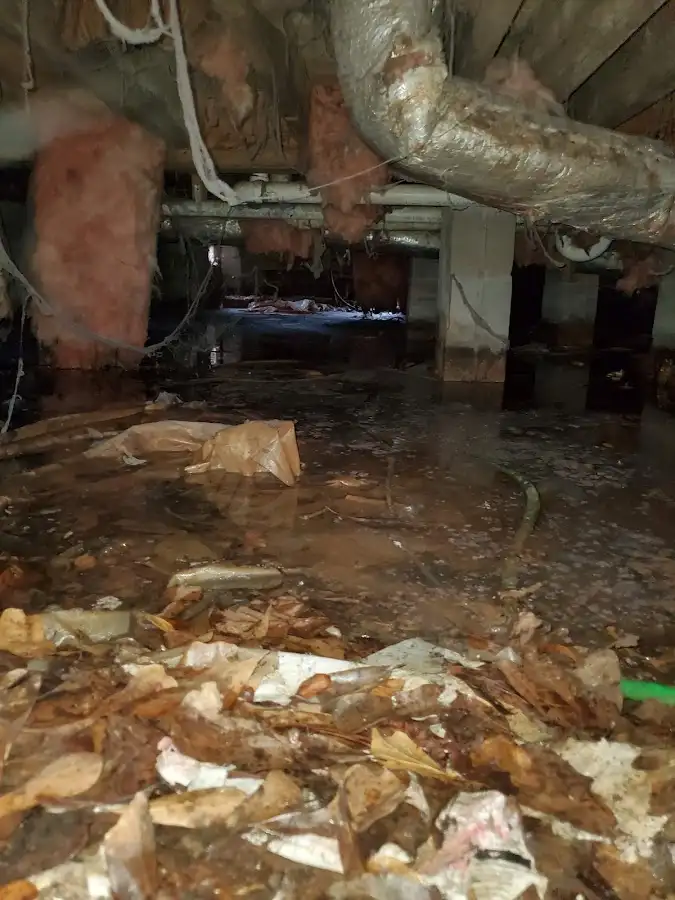 Crawl space flood assessment for Commercial Water Damage Restoration in Richmond West